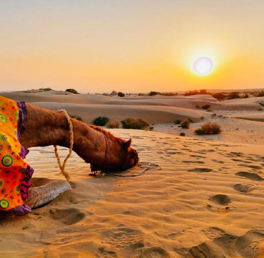 Wild Heritage Desert Camp Hotel Jaisalmer Ngoại thất bức ảnh